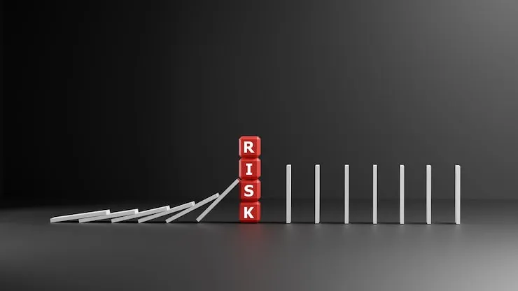 Had to Learn About Risk