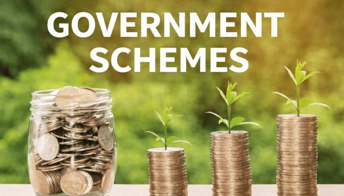 Government Saving Schemes