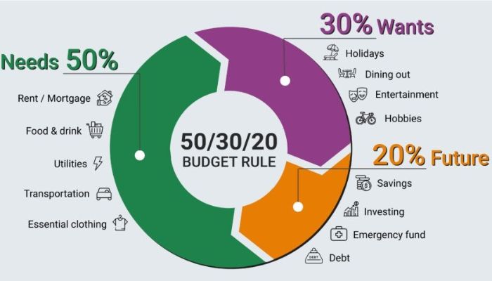 How to Apply the 50/30/20 budget rule india in Real Life